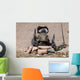 Us Marine Sniper Observes Wall Decal