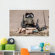 Us Marine Sniper Observes Wall Decal