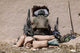 Us Marine Sniper Observes Wall Decal