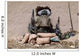 Us Marine Sniper Observes Wall Decal
