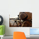 Us Marine Looks through Wall Decal Design 2