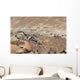 Us Army Soldier Provides Wall Decal Design 2