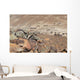 Us Army Soldier Provides Wall Decal Design 2