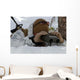 Scout Sniper Watches to Wall Decal