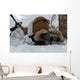 Scout Sniper Watches to Wall Decal