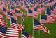 Abundance American Flags Wall Decal