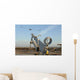 Australian Scan Eagle Launches Wall Decal