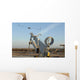 Australian Scan Eagle Launches Wall Decal