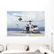 Uh-1n Huey and Ah-1w Wall Decal