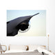 Scan Eagle Unmanned Aerial Wall Decal