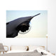 Scan Eagle Unmanned Aerial Wall Decal