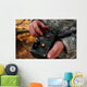 Us Soldier Hits Button Wall Decal
