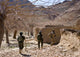 Afghan Commandos Are Guided Wall Decal