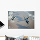 Two Belgian Air Component Wall Decal