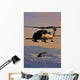 Two Alaska Air National Wall Decal