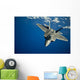 F-22 Raptor Flight near Wall Decal