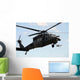 Hh-60 Pave Hawk Conducts Wall Decal