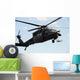 Hh-60 Pave Hawk Conducts Wall Decal