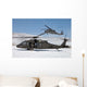 Two Us Army Uh-60 Wall Decal