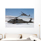 Two Us Army Uh-60 Wall Decal