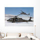 Two Us Army Uh-60 Wall Decal