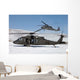 Two Us Army Uh-60 Wall Decal