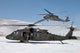 Two Us Army Uh-60 Wall Decal