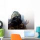 Marine Wearing Gas Mask Wall Decal