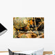 Us Marine Uses Spotting Wall Decal