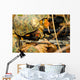 Us Marine Uses Spotting Wall Decal