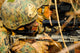 Us Marine Uses Spotting Wall Decal