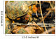 Us Marine Uses Spotting Wall Decal