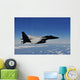 Us Air Force F-15e Wall Decal