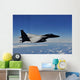Us Air Force F-15e Wall Decal