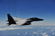 Us Air Force F-15e Wall Decal