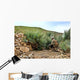 Us Army Soldier Provides Wall Decal Design 2