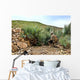 Us Army Soldier Provides Wall Decal Design 2