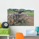 Us Army Soldier Provides Wall Decal Design 1