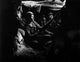 Infantrymen Take Advantage Cover Wall Decal