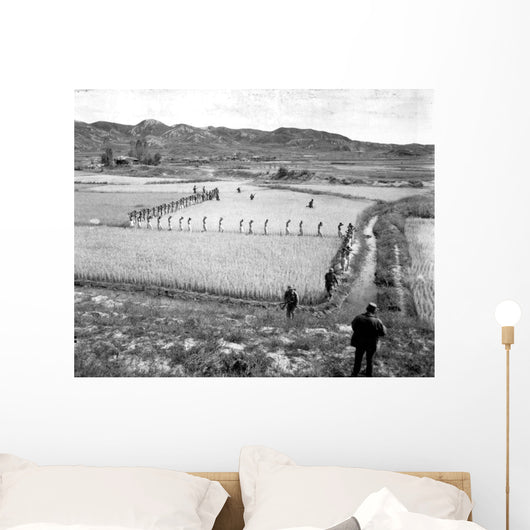 North Korean Prisoners March Wall Decal