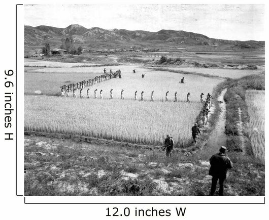 North Korean Prisoners March Wall Decal