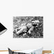 Chinese Soldier Killed during Wall Decal