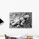 Chinese Soldier Killed during Wall Decal