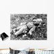 Chinese Soldier Killed during Wall Decal