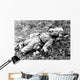 Chinese Soldier Killed during Wall Decal