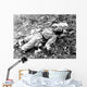 Chinese Soldier Killed during Wall Decal