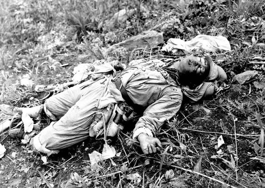 Chinese Soldier Killed during Wall Decal