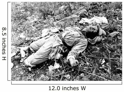 Chinese Soldier Killed during Wall Decal