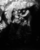 Marines Share Foxhole with Wall Decal