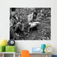 Officer Receives Report Field Wall Decal